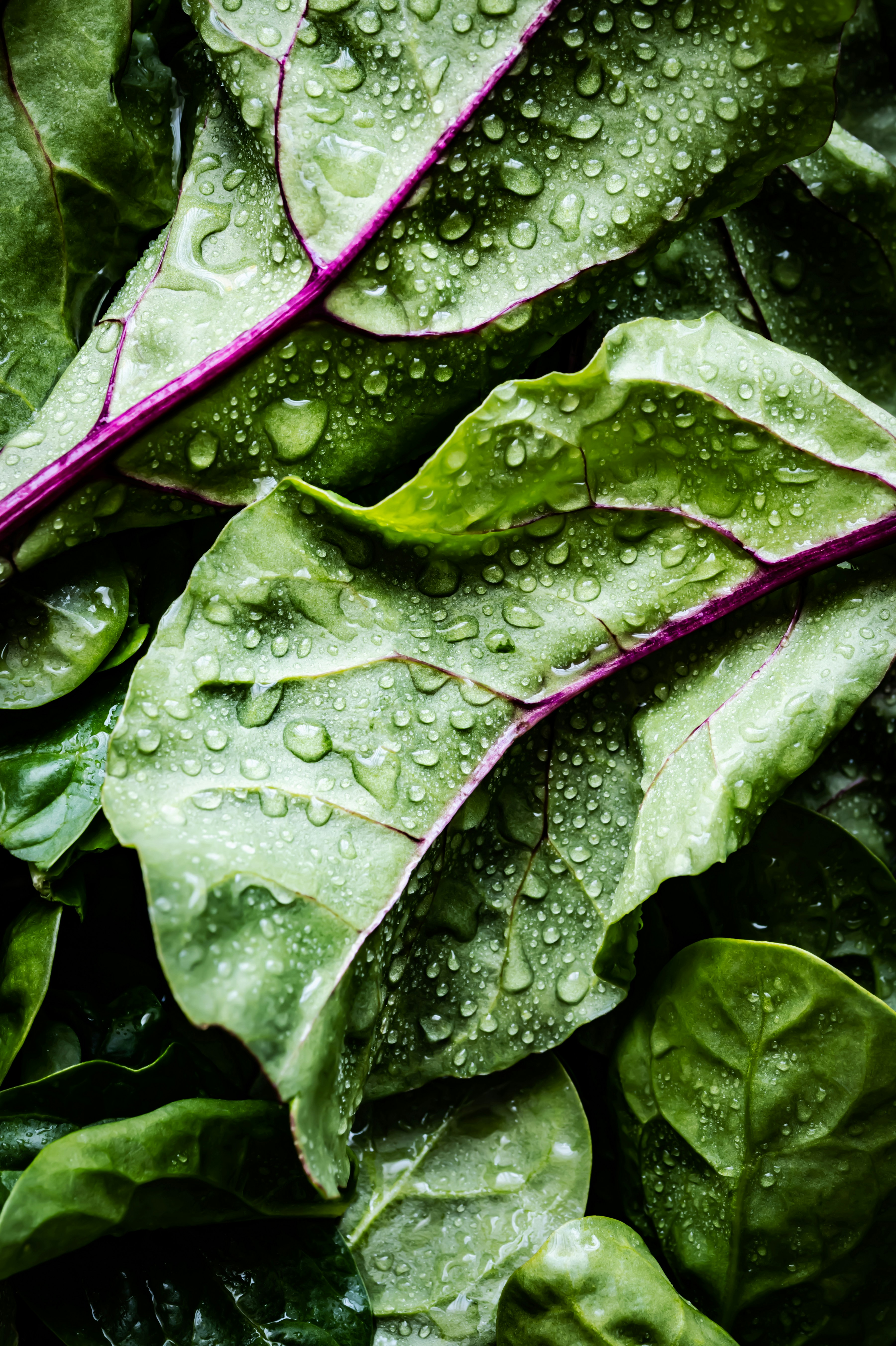 Spinach